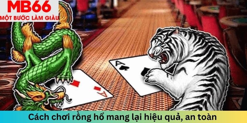 Cách chơi rồng hổ mang lại hiệu quả, an toàn