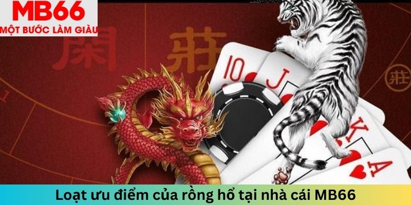 Loạt ưu điểm của rồng hổ tại nhà cái